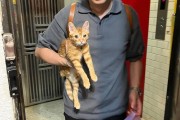 博鱼体育登录入口-博主发现猫逃家立刻去追，抓到猫后才发现自己没穿裤子…咪：这不是变态吗